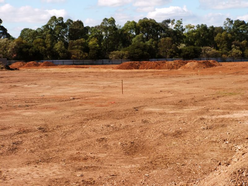 Land Clearing Before Construction