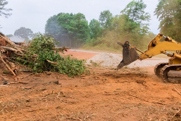 Forestry Mulching Service in Brandon