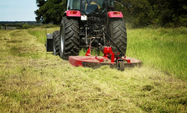 Brush Clearing Service in Brandon
