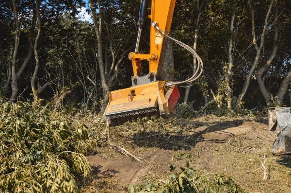 Brush Removal Service in Brandon