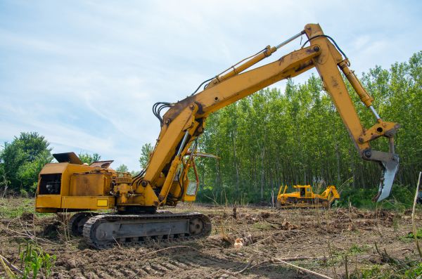Farm Clearing in Brandon
