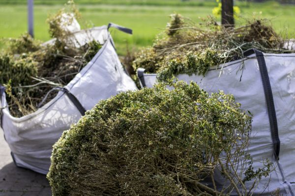 Bushes Clearing in Brandon