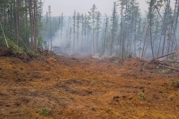Hill Clearing in Brandon