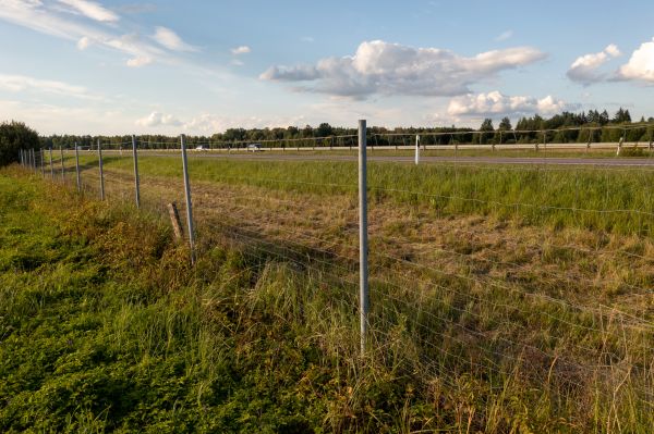 Property Line Clearing in Brandon