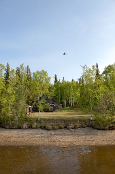 Waterfront Land Clearing in Brandon