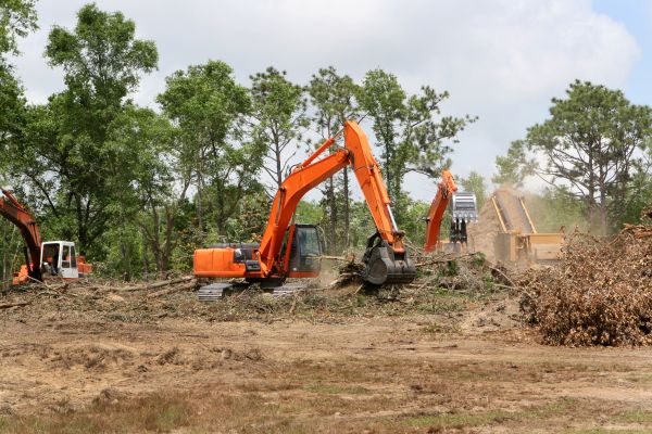 Commercial Lot Clearing in Brandon